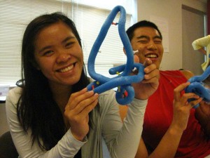 Students discovered the chemistry behind protein folding.