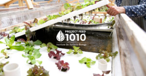 Project Feed 1010 Partners with Northeastern University to Advance Sustainable Agriculture