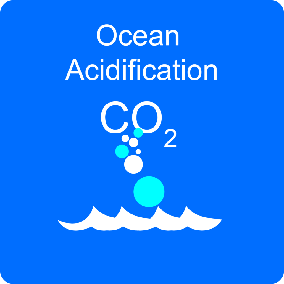 Ocean AcidificationBaliga Systems Education Experiences