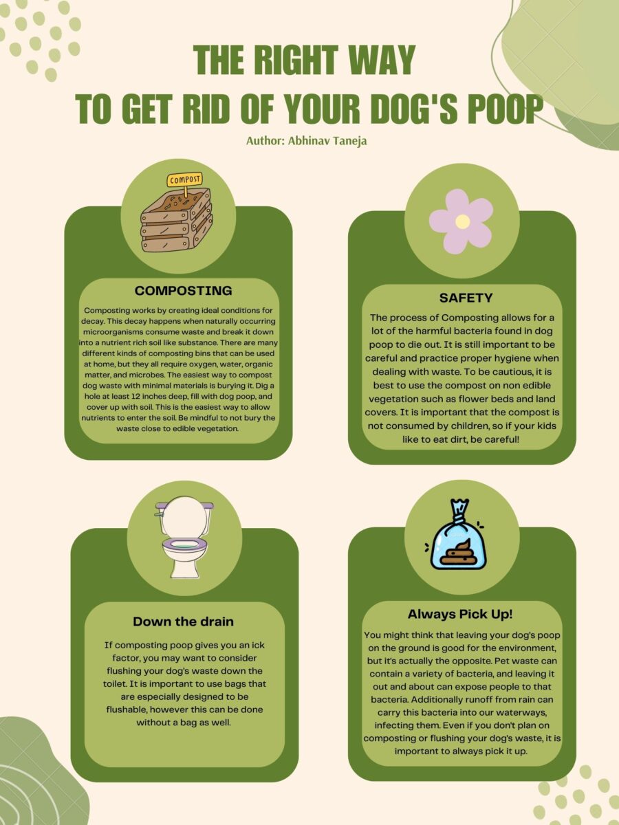 Abhinav TanejaBaliga Systems Education Experiences